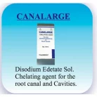 0001124_ammdent-canalarge