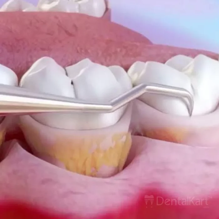 36500c53-4c4e-4356-97e9-c44b6bc68334_1