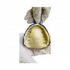 Avue-Algin-Alginate-Detailed-Impression