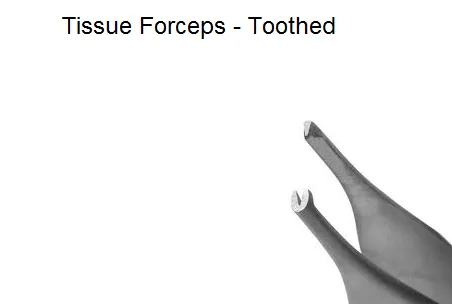 api_tissue_forceps_-_toothed api_tissue_forceps_-_toothed