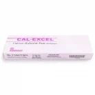 cal-excel-2