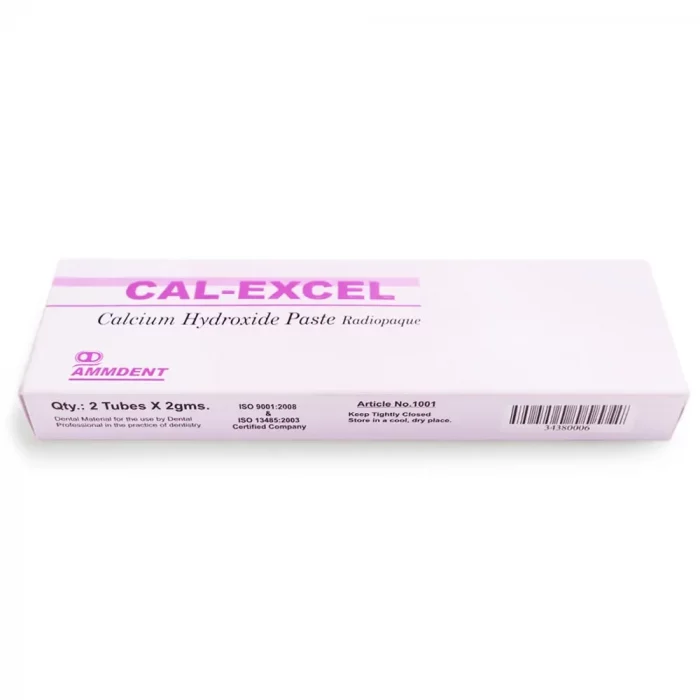 cal-excel-2
