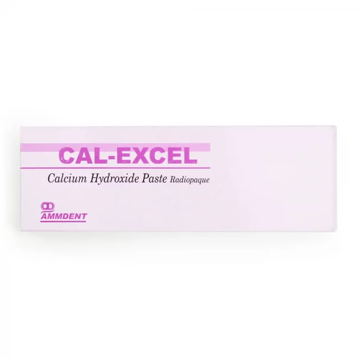 cal-excel