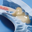 csm_10_appl_2014_8ad2b90c20