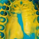 csm_honigum_24_c59f51158d_1_1_1