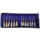 download-2024-02-06T143815.425_225x225