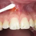 images_2__11zon_2__1