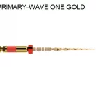 primary_wave_1