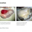 screenshot_2022-10-05_123911