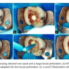 screenshot_2022-11-05_171336_1