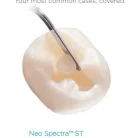 screenshot_2022-11-19_183714_1