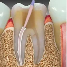 screenshot_2024-10-21_104950_1