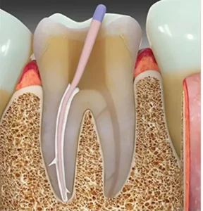 screenshot_2024-10-21_104950_1