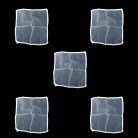 sqeezer2