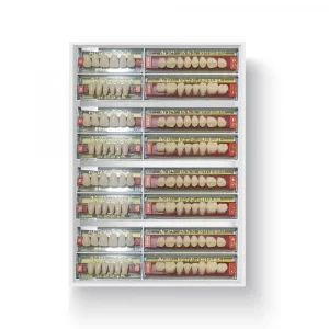 Acryrock Teeth Set