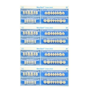 Acrylic Teeth Sets - NewDent B2