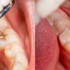 whatsapp_image_2024-10-08_at_1.43.22_pm