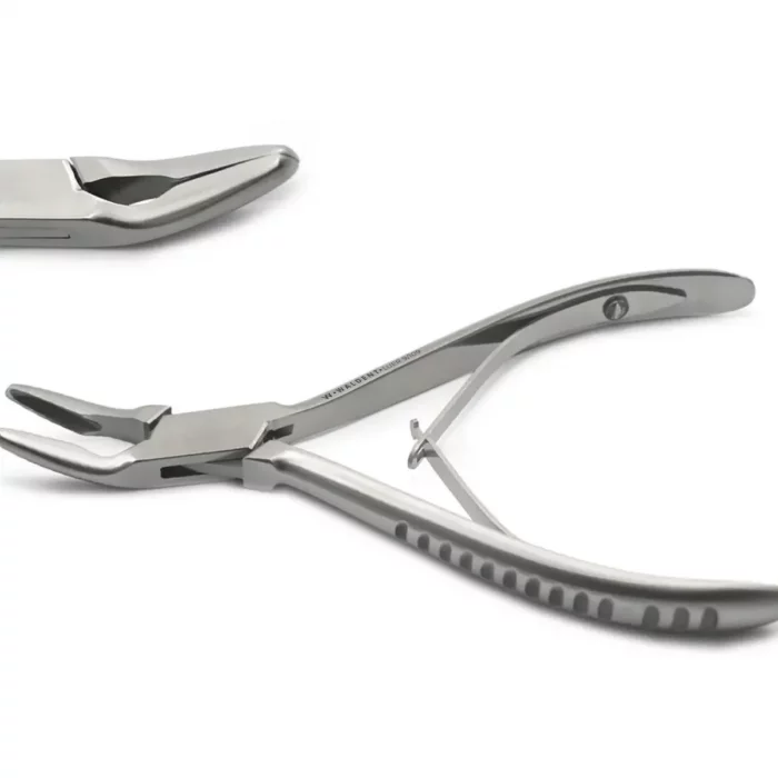 whatsapp_image_2024-10-23_at_2.56.35_pm