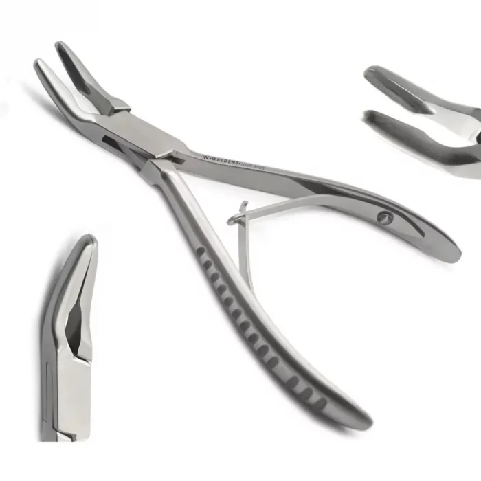 whatsapp_image_2024-10-23_at_2.56.36_pm