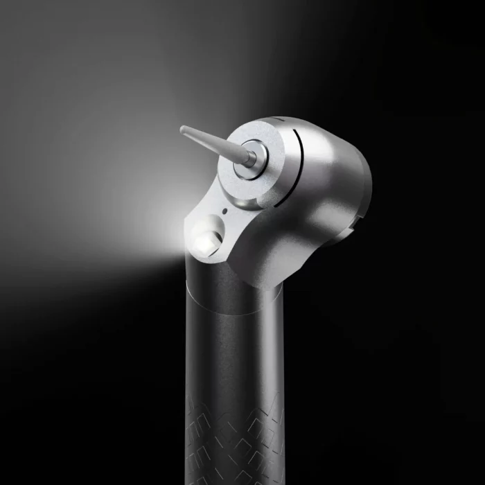 whatsapp_image_2024-12-04_at_6.53.24_pm_1