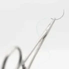 360_f_516452951_e1roqqmf6boqizrh66tqypsomkwpjgbi