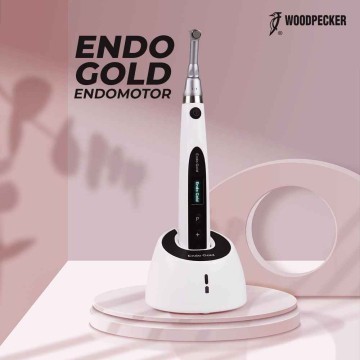 Endo motor gold Endo motor gold