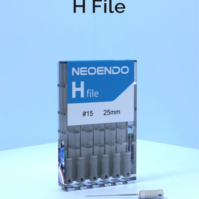 H-File-2