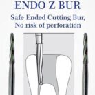 endo-z-bur