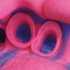 hydrorise_putty_and_light_app1_1