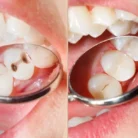 magnoliamarch-1024x768.jpg.optimal_3