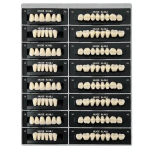 Kaili Teeth Set