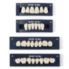 teeth_set_a2