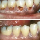 web_capture_4-1-2023_105124_