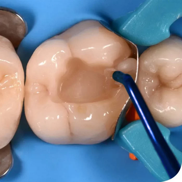 whatsapp_image_2021-06-15_at_10.04.17_am_1 (1)