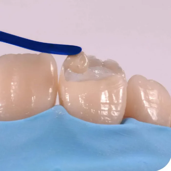 whatsapp_image_2021-06-15_at_10.04.19_am_1 (1)