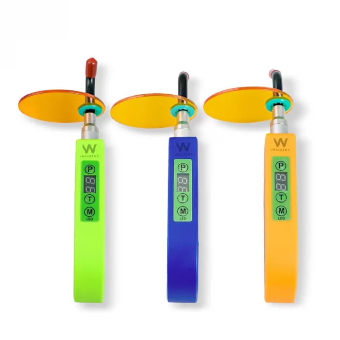 whatsapp_image_2024-08-14_at_10.36.15_am_1_