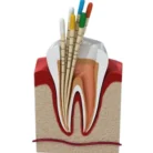 whatsapp_image_2024-09-16_at_16.40.31-removebg-preview