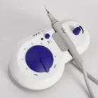 whatsapp_image_2024-11-27_at_12.41.01_pm_1__1