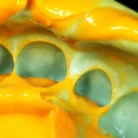 zetaplus_oranwash_app21_1_1